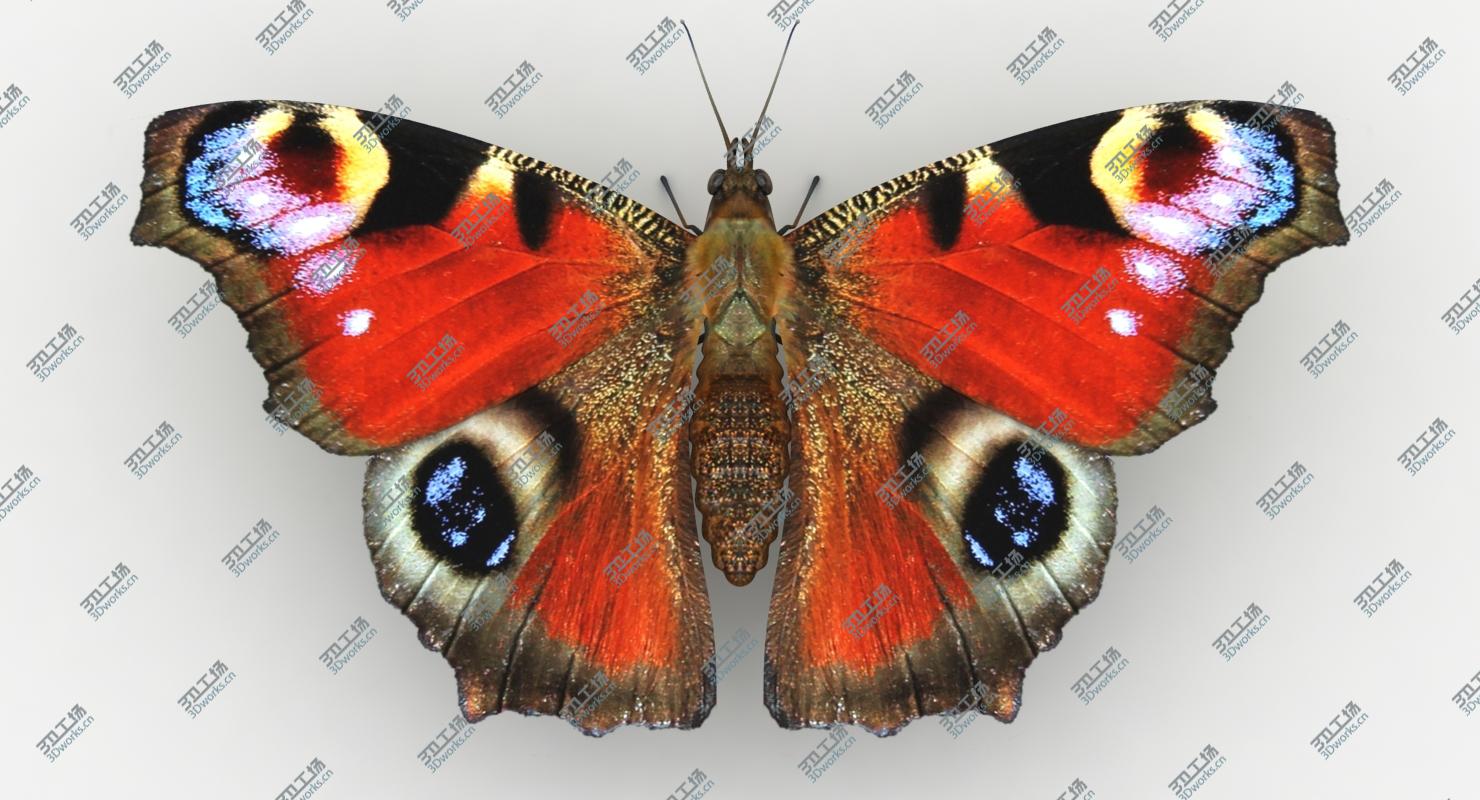 images/goods_img/2021040161/3D model Butterfly Collection/2.jpg